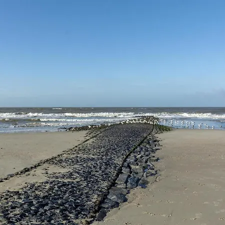 Wonderful Beachside Apartment Callantsoog